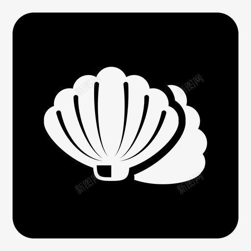 海鲜贝壳svg_新图网 https://ixintu.com 海鲜 贝壳
