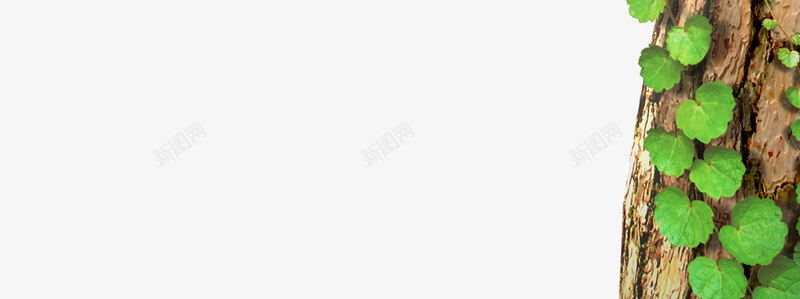 树挂牌png免抠素材_新图网 https://ixintu.com 树挂 挂牌