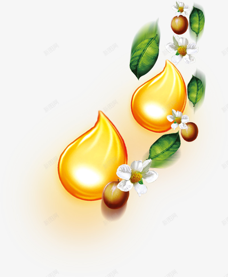 茶树果png免抠素材_新图网 https://ixintu.com 茶树