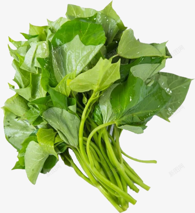 茼蒿png免抠素材_新图网 https://ixintu.com 茼蒿