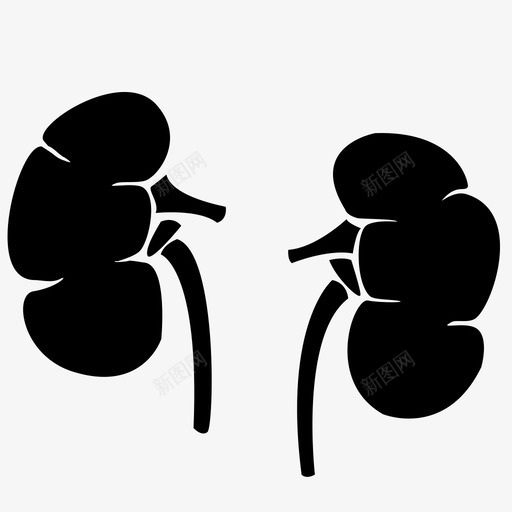 肾脏器官内脏svg_新图网 https://ixintu.com 内脏 器官 肾脏