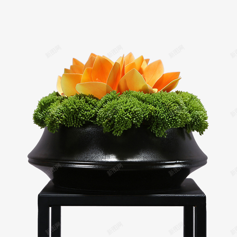 新中式仿真手感绿植菜花蕙兰套装花艺玄关桌面茶室日式png免抠素材_新图网 https://ixintu.com 新中式 中式 仿真 手感 绿植 菜花 蕙兰 套装 花艺 玄关 桌面