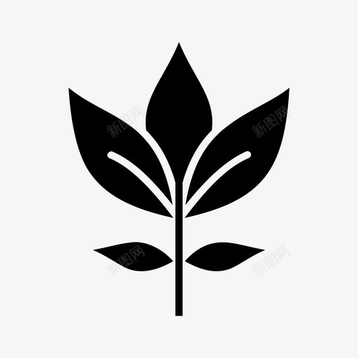 叶桦树叶天然svg_新图网 https://ixintu.com 叶桦 树叶 叶天然 天然 自然 植物