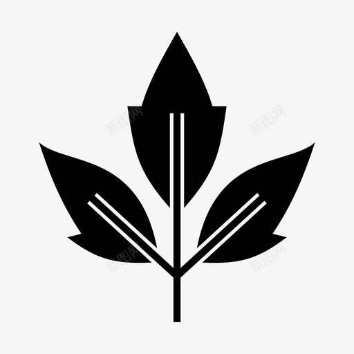 叶桦树叶天然svg_新图网 https://ixintu.com 叶桦 树叶 天然 自然 植物