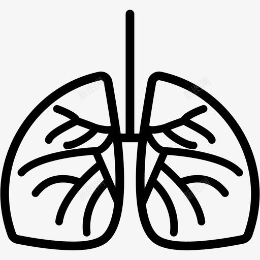 肺解剖学健康svg_新图网 https://ixintu.com 解剖学 健康 病人 呼吸 医学