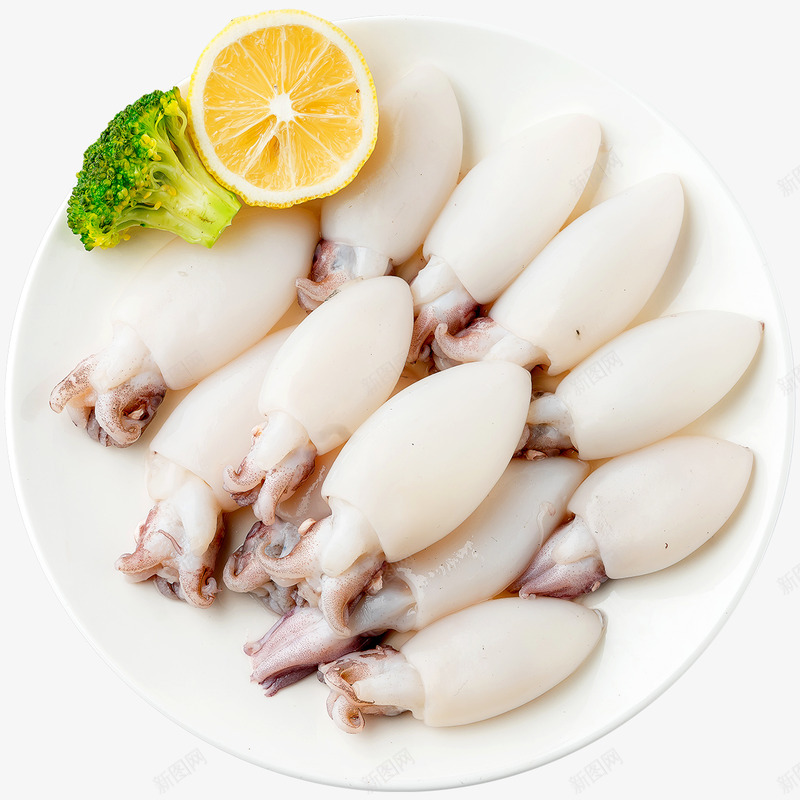 墨鱼仔png免抠素材_新图网 https://ixintu.com 墨鱼