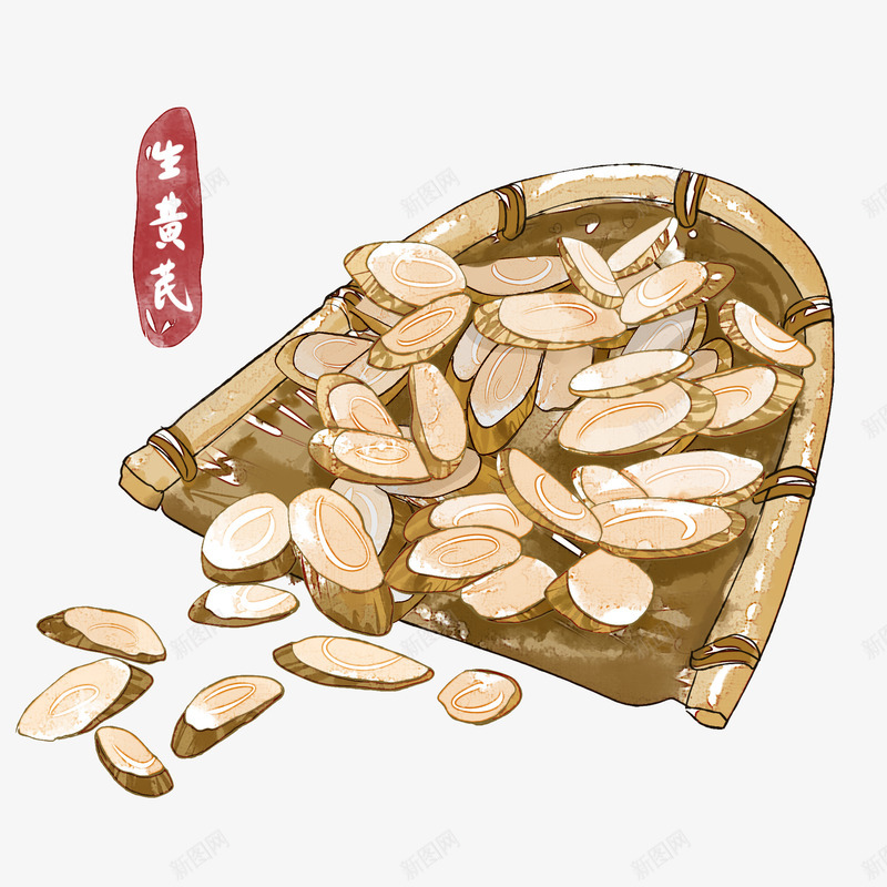 中药生黄芪png免抠素材_新图网 https://ixintu.com 中药 黄芪