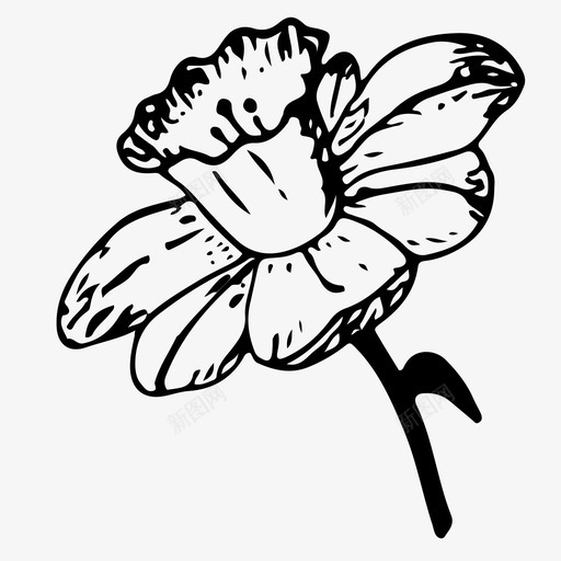 水仙花自然植物svg_新图网 https://ixintu.com 水仙花 自然 植物 素描 手绘