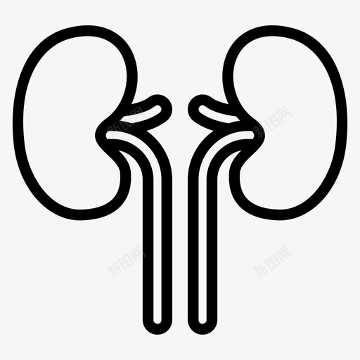 肾脏人体泌尿学svg_新图网 https://ixintu.com 人体 肾脏 泌尿 学人 器官 轮廓