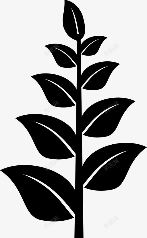 植物叶子树svg_新图网 https://ixintu.com 植物 叶子
