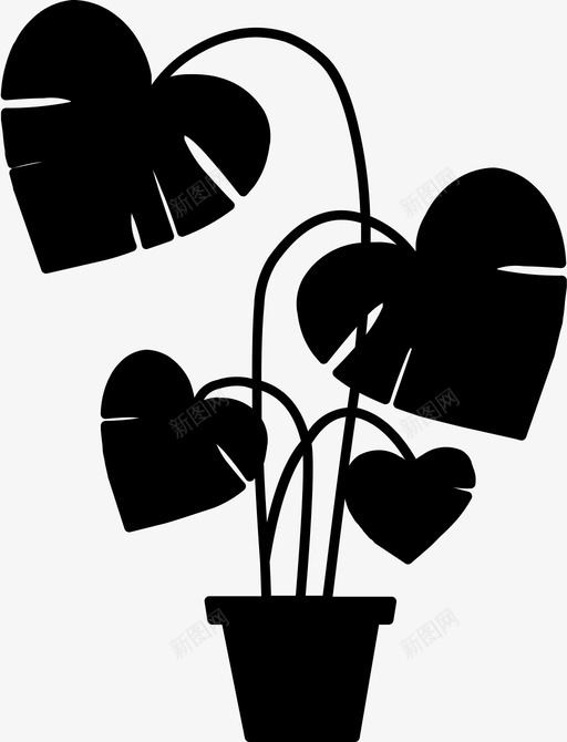 怪兽叶子现代svg_新图网 https://ixintu.com 植物 怪兽 叶子 现代 棕榈 盆栽