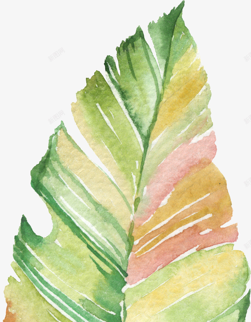 植物手绘涂鸦png免抠素材_新图网 https://ixintu.com 植物 手绘 涂鸦