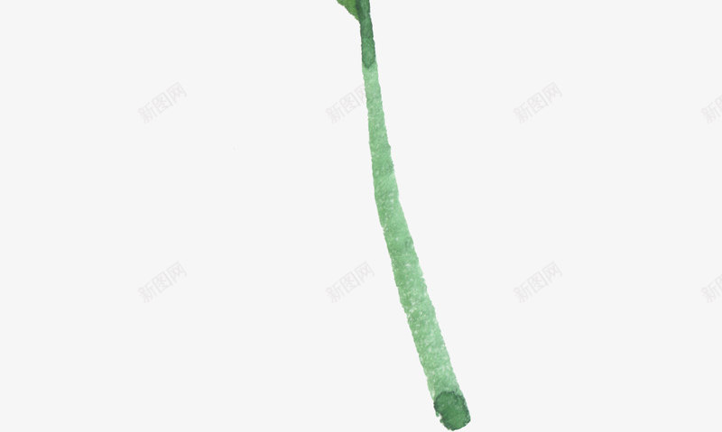植物手绘涂鸦png免抠素材_新图网 https://ixintu.com 植物 手绘 涂鸦
