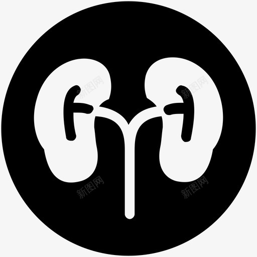 肝胆脾胰肾svg_新图网 https://ixintu.com 肝胆 脾胰