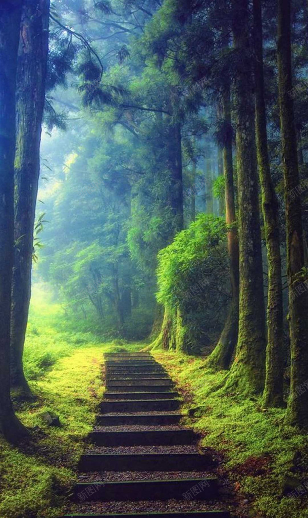 原始森林风景png免抠素材_新图网 https://ixintu.com 原始森林风景 H5 背景 风景