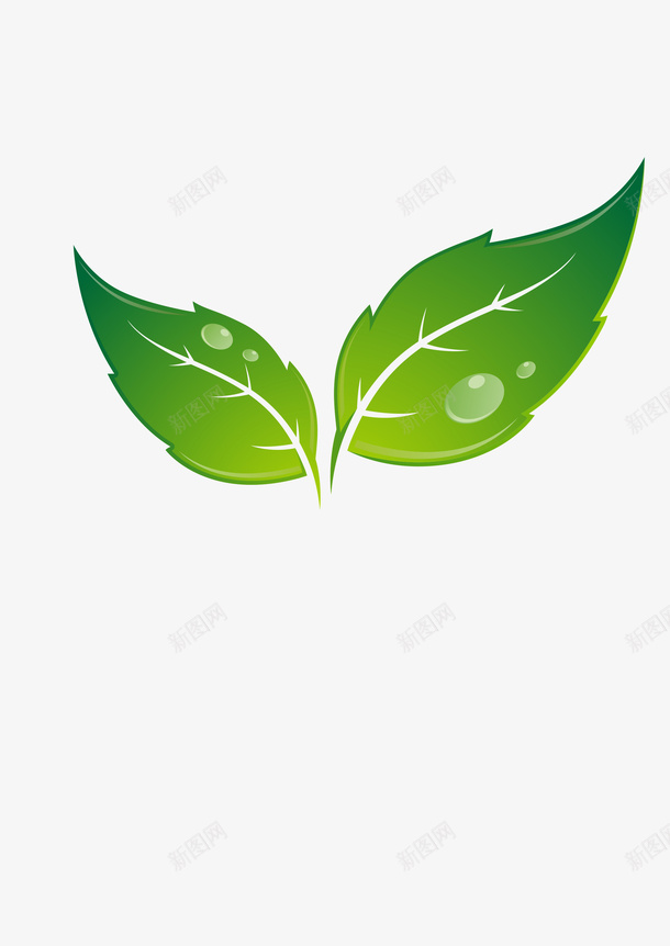 树叶绿色是png免抠素材_新图网 https://ixintu.com 树叶 绿色 叶子 是个 他