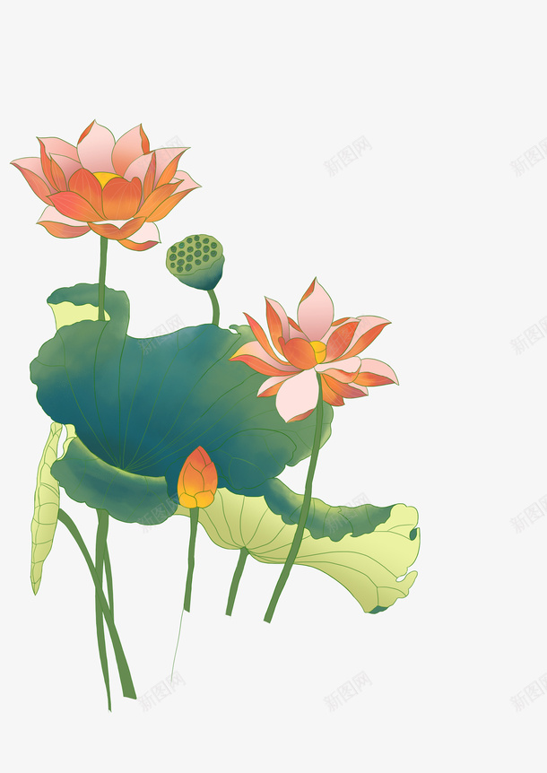 荷花手绘中国风夏天psd免抠素材_新图网 https://ixintu.com 荷花 手绘 中国风 夏天
