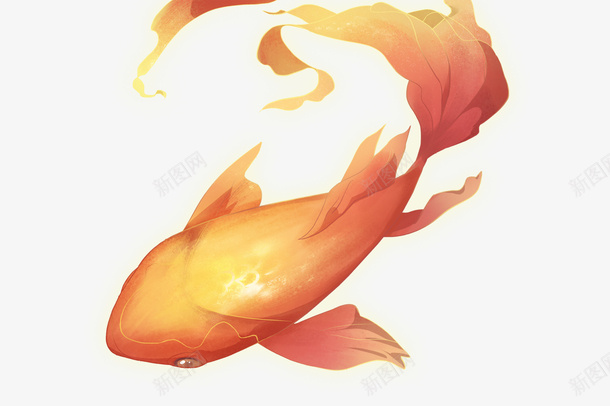 锦鲤插画元素png免抠素材_新图网 https://ixintu.com 锦鲤 插画元素 节日 吉祥