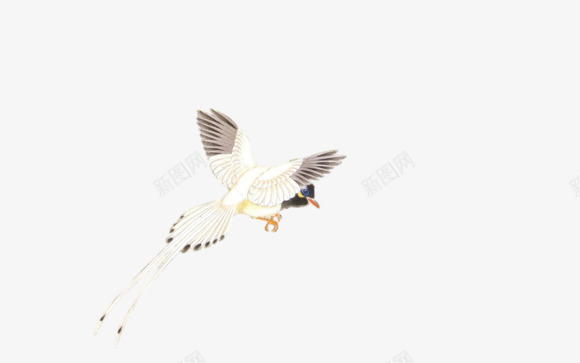 水货花鸟鱼自抠古风签吧百度贴吧png免抠素材_新图网 https://ixintu.com 水货 花鸟 鱼自 古风 签吧 百度贴吧