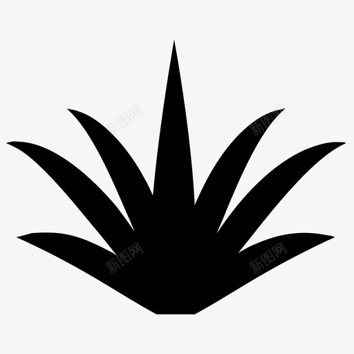 多汁植物龙舌兰植物芦荟svg_新图网 https://ixintu.com 植物 多汁 龙舌 芦荟 室内 天然 海洋 食物 载体 图标