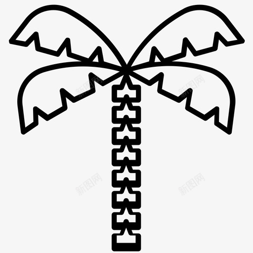 山毛榉树椰子树棕榈树svg_新图网 https://ixintu.com 棕榈树 毛榉树 椰子树 夏季 线条 图标
