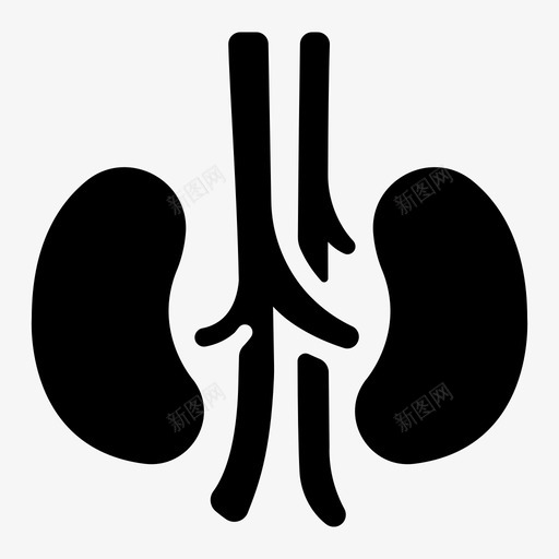 肾脏人内部svg_新图网 https://ixintu.com 肾脏 内部 器官 输尿管 医学