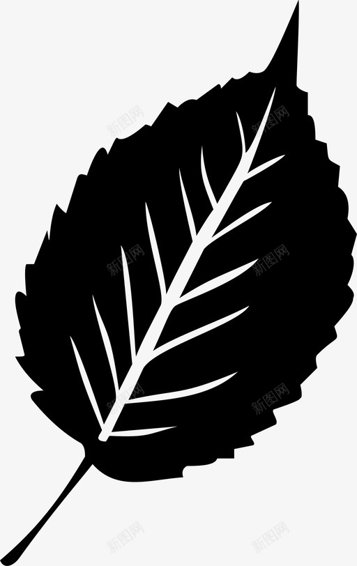 秋叶手绘树叶svg_新图网 https://ixintu.com 秋叶 手绘 树叶
