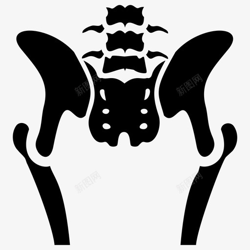 骨盆骨骼身体部分人体解剖学svg_新图网 https://ixintu.com 骨盆 骨骼 骨科 身体 部分 人体 解剖学 骨关节 关节炎 脊柱 图标