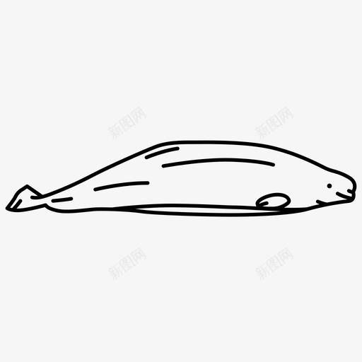 白鲸鱼类哺乳动物svg_新图网 https://ixintu.com 白鲸 鱼类 哺乳动物 海洋 威尔士