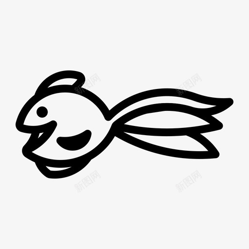 金鱼水族馆鲤鱼svg_新图网 https://ixintu.com 金鱼 水族馆 鲤鱼 淡水 观赏 观赏鱼 鱼类 种类