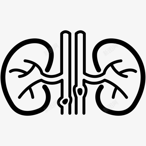 肾结石疾病肾脏学svg_新图网 https://ixintu.com 肾结石 疾病 肾脏 人体 器官