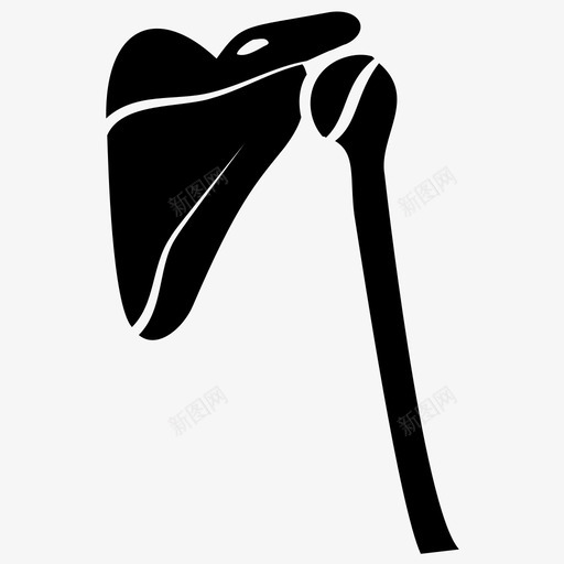 肩关节身体部位关节疼痛svg_新图网 https://ixintu.com 关节 骨科 身体 部位 疼痛 骨关节 关节炎 脊柱 字形 图标