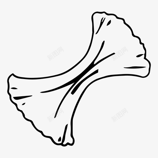 面片烹饪食物svg_新图网 https://ixintu.com 片面 烹饪 食物 配料 香料 调味料