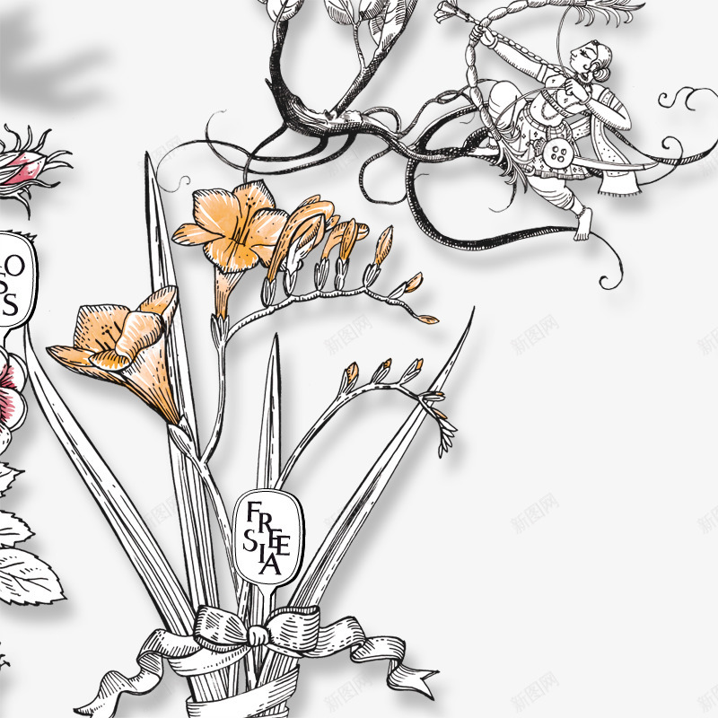 Diptyque花园png免抠素材_新图网 https://ixintu.com 花园