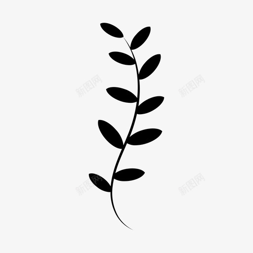 植物植物学分支svg_新图网 https://ixintu.com 植物 植物学 分支 草药 自然