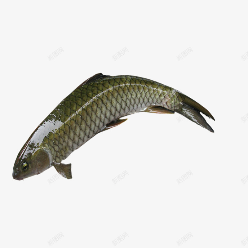 生鲜肉85png免抠素材_新图网 https://ixintu.com 生鲜 鲜肉