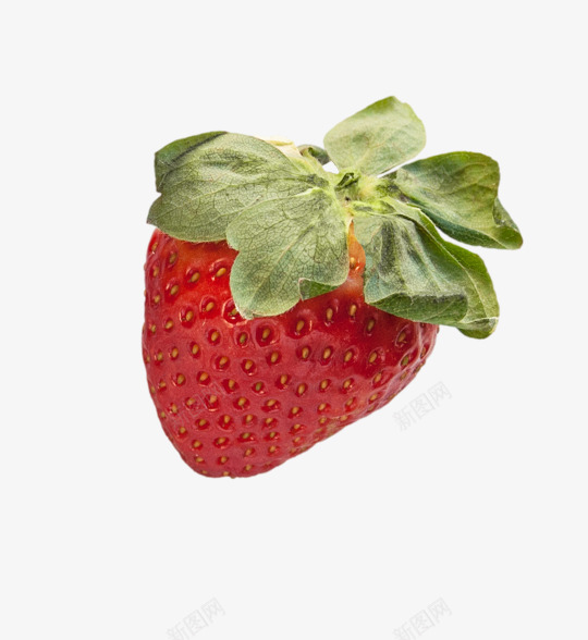 情人节3png免抠素材_新图网 https://ixintu.com 情人节