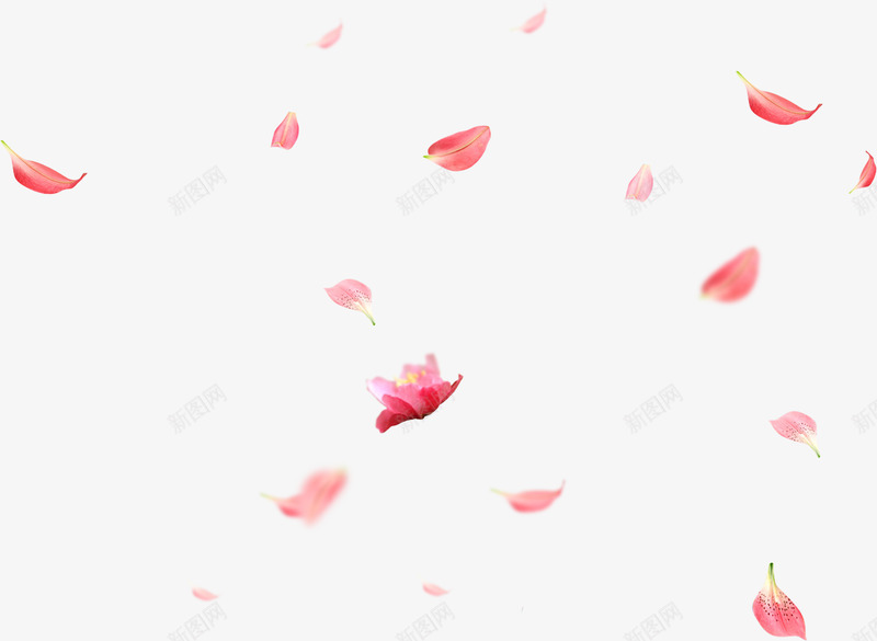 粉色花瓣飘落春天春色桃花花卉花朵漂浮png免抠素材_新图网 https://ixintu.com 粉色 花瓣 飘落 漂浮 春天 春色 桃花 花卉 花朵 桃树 绿植