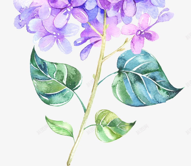 一枝鲜花元素png免抠素材_新图网 https://ixintu.com 一枝花 亮丽 红色花朵 蓝色 叶子 叶片 免抠 写实 娇艳 多彩 手绘 水彩 清新 漂亮 简约 绘画 美丽 花卉 透明 逼真 鲜艳