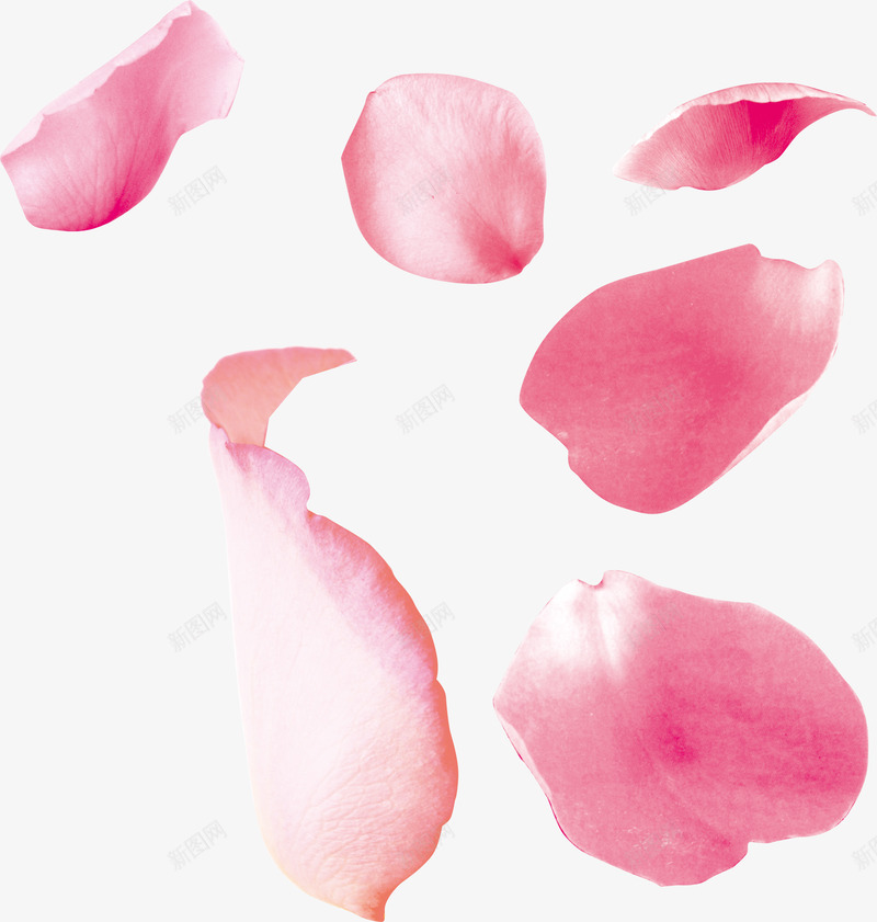 粉色花瓣飘落春天春色桃花花卉花朵漂浮png免抠素材_新图网 https://ixintu.com 粉色 花瓣 飘落 漂浮 春天 春色桃花 花卉 花朵 桃树 绿植
