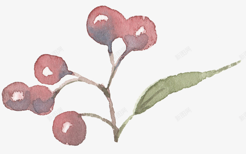 小清新手绘彩绘文艺植物春季花鸟类燕子水彩设计png免抠素材_新图网 https://ixintu.com 清新 手绘 彩绘 文艺 植物 春季 季花 鸟类 燕子 水彩 设计