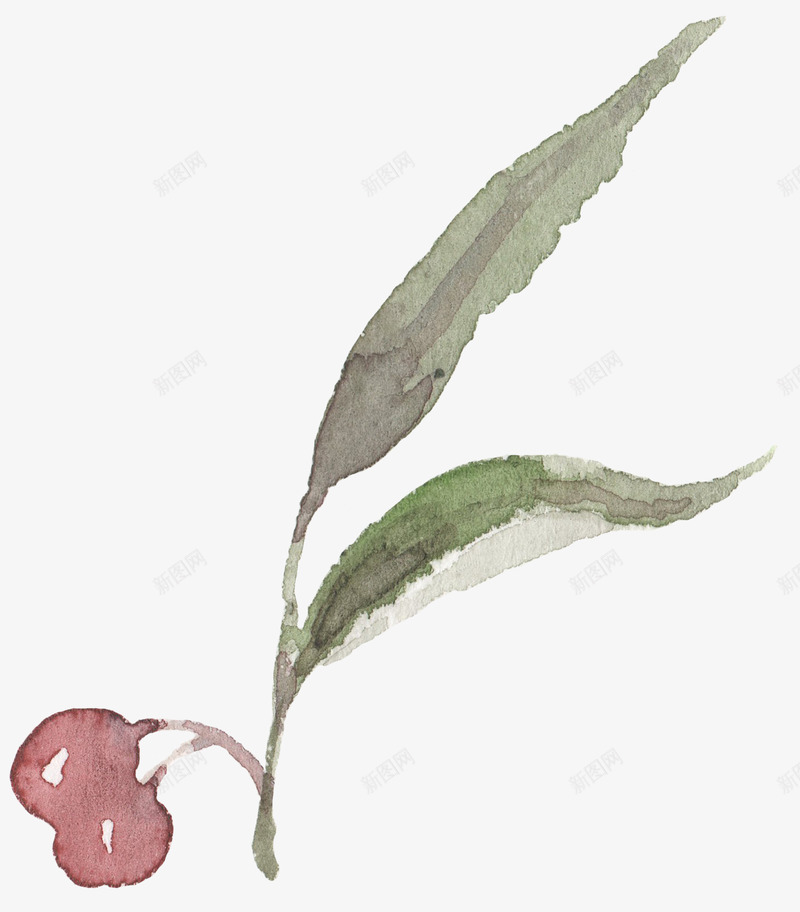 小清新手绘彩绘文艺植物春季花鸟类燕子水彩设计png免抠素材_新图网 https://ixintu.com 清新 手绘 彩绘 文艺 植物 春季 季花 鸟类 燕子 水彩 设计