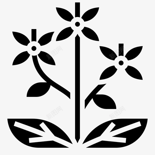 伊克索拉盛开五彩缤纷svg_新图网 https://ixintu.com 伊克 索拉 盛开 五彩缤纷 装饰 花园 花雕