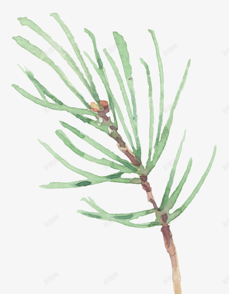 小清新手绘彩绘文艺植物春季花鸟类燕子水彩设计png免抠素材_新图网 https://ixintu.com 清新 手绘 彩绘 文艺 植物 春季 季花 鸟类 燕子 水彩 设计