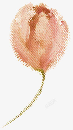 清新植物花朵美容水彩手绘花卉包装婚礼邀请卡图设计素材