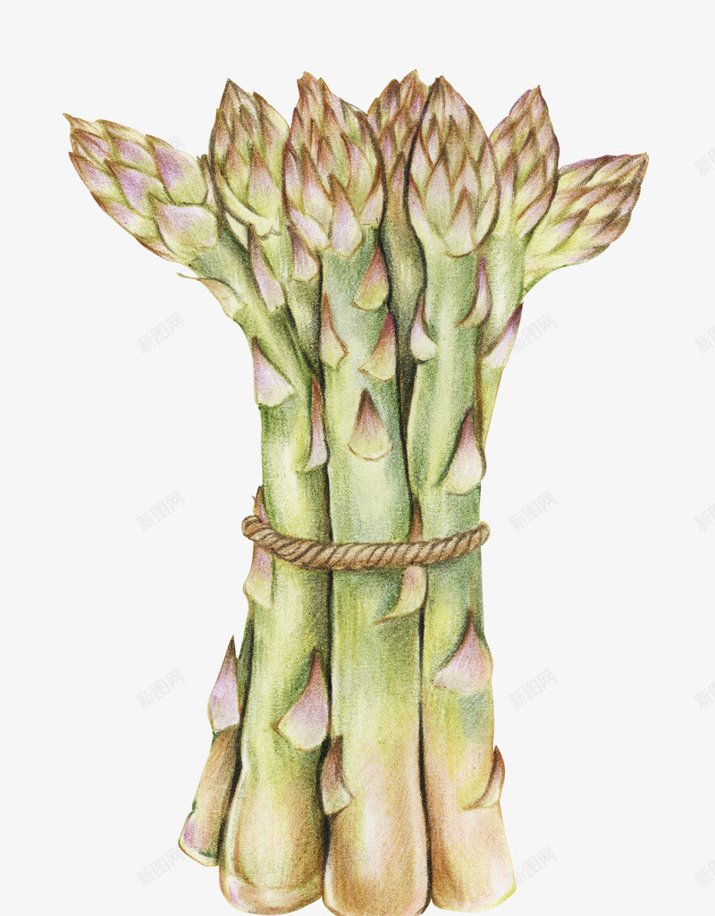 水彩包装平铺菜市场菜椒番茄西兰花蔬菜PSpng免抠素材_新图网 https://ixintu.com 水彩 包装 平铺 菜市场 菜椒 番茄 西兰 兰花 蔬菜