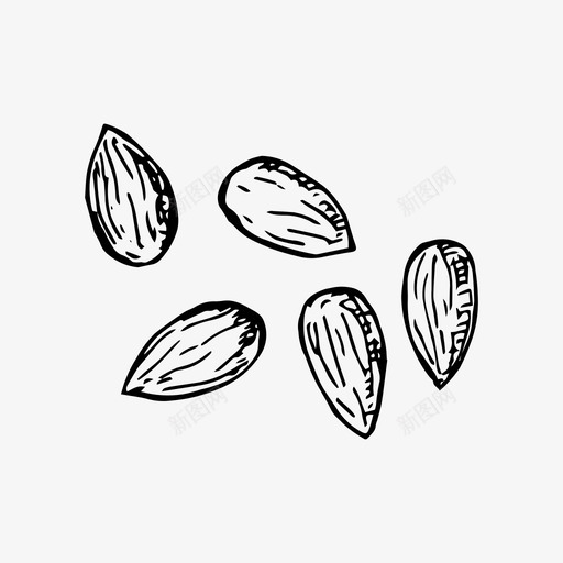 杏仁食物坚果svg_新图网 https://ixintu.com 杏仁 食物 坚果 种子 素描