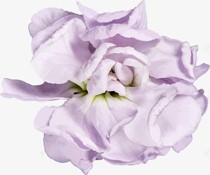 唯美森系优雅写实花卉花朵叶子卡片图案AI矢量卡片请png免抠素材_新图网 https://ixintu.com 卡片 唯美 森系 优雅 写实 花卉 花朵 叶子 图案 矢量