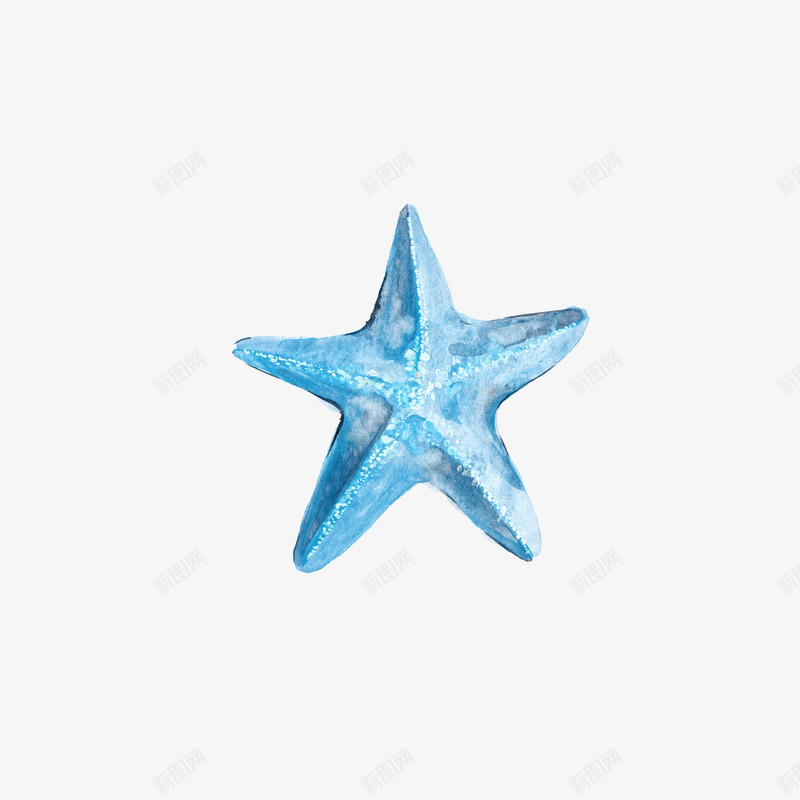 精美水彩手绘海洋风金色蓝色海螺备课海马免扣PS设计png免抠素材_新图网 https://ixintu.com 精美 水彩 手绘 海洋 金色 蓝色 海螺 备课 海马 免扣 设计