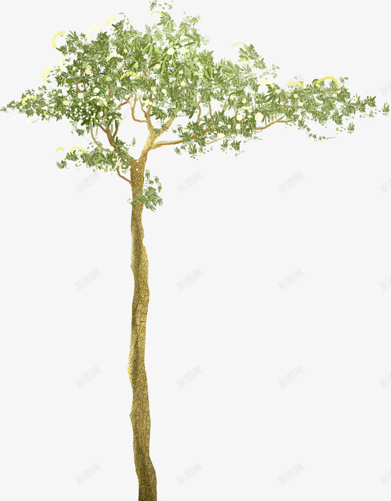 唯美水彩树木手绘墨迹树叶盆栽园艺花卉叶子免扣透明设png免抠素材_新图网 https://ixintu.com 唯美 水彩 树木 手绘 墨迹 树叶 盆栽 园艺 花卉 叶子 免扣